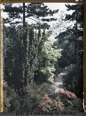 Image représentant Allée du " sanctuaire japonais " longeant le verger-roseraie, bordée d'une rocaille fleurie