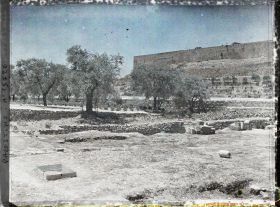Image représentant Jardin de Gethsémani, au pied du Mont des Oliviers, lieu de l'agonie et de l'arrestation de Jésus