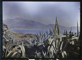 Image représentant Panorama sur Menton, vu depuis le rivage du cap Martin parsemé d'agaves