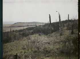 Image représentant Belgique, Kemmel, Le petit Kemmel (132 m), vu du Grand du Kemmel (151 m)