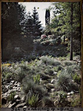 Image représentant Lanterne en haut d'un chemin escarpé du " sanctuaire japonais " précédé d'un espace pierreux et herbacé