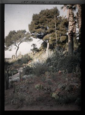 Image représentant Cap-Martin - Le Jardin