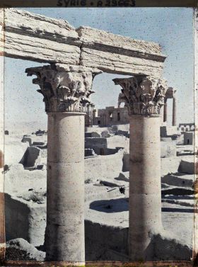 Image représentant Deux colonnes corinthiennes du Temple de Bêl