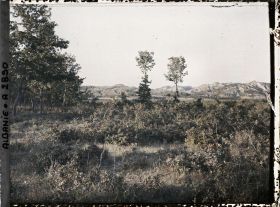 Image représentant Entre Tirana et Durazzo