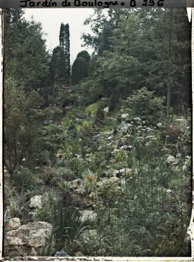 Image représentant Espace pierreux et herbacé du " jardin chinois ", ponctué d'arbres et d'arbustes