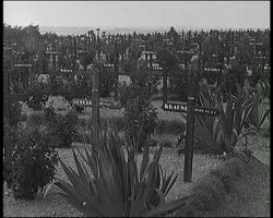 Image représentant Voyage sur l'ancien Front : cimetières français, allemand et italien