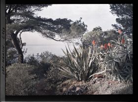 Image représentant Cap Martin - Le Jardin