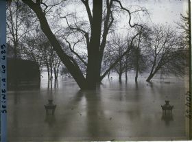 Image représentant La crue de la Seine à la pointe de l'île de la Cité, square du Vert-Galant