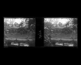 Image représentant Pièce d'eau dans le jardin de Monsieur Okura