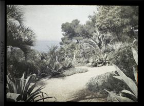 Image représentant Allées dominant la mer, bordées d'agaves, de yuccas et de plantes tapissantes