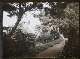 Image représentant Une partie du jardin de la villa Miramar, vue en direction de Monaco