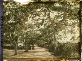 Image représentant La route d'Adjohoun