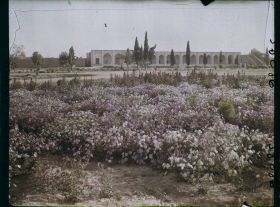 Image représentant Le jardin public et la façade du Palais des Gouverneurs