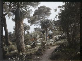 Image représentant Le Jardin