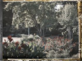 Image représentant Le jardin Bizot