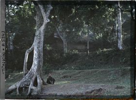 Image représentant Un enfant assis au pied d'un arbre aux abords d'un village