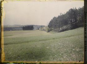 Image représentant Ile de France, Vallangoujard, Champ de seigle au 1er plan, champ de blé à l'arrière plan