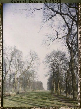 Image représentant l'Allée de Marne dans le parc