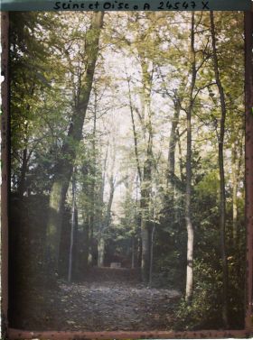 Image représentant Une allée du parc