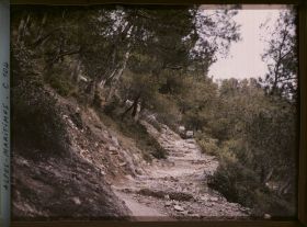 Image représentant Un chemin rocailleux dans la colline