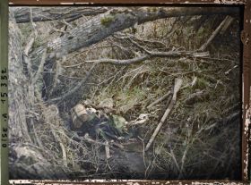Image représentant France, Les Bocages, Guerre : Cadavre d'un soldat français Il est équipé de son sac et son fusil est près de lui