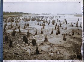 Image représentant Site palafittique préhistorique des Alpes, pieux en bois visibles lors de la baisse des eaux après la grande sécheresse de 1921