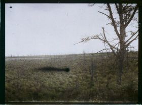 Image représentant France, Souville, Les bois près du fort de Souville