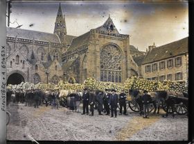 Image représentant Le marché aux choux devant l'église, ancienne cathédrale, Saint-Paul-Aurélien