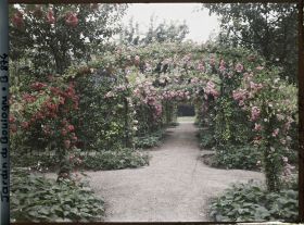 Image représentant Axe central du verger-roseraie bordé de légumes, vu vers l'est, au second carrefour côté dépendance