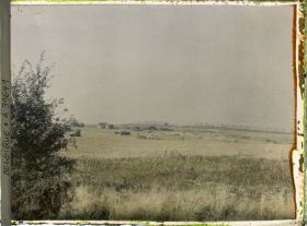 Image représentant Belgique, Hooghe, Une vue vers le bois du Sanctuaire vu de l'Est
