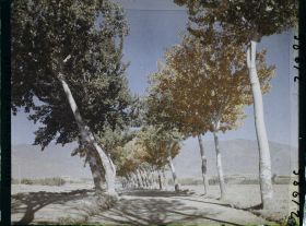 Image représentant Afghanistan, Kaboul, La route de Paghman Kaboul, effet d'automne