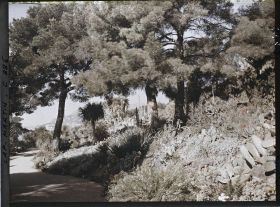 Image représentant Une allée du jardin