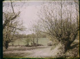 Image représentant Paysage de camapagne
