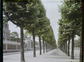 Image représentant France, Arras, Le Boulevard Vauban