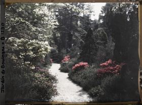 Image représentant Chemin ponctué d'arbustes et d'azalées, proche du torii et des ponts du " sanctuaire japonais "