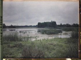 Image représentant France, Péronne, Les Marais de la Somme au Sud-Est de Péronne