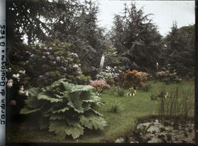 Image représentant Le marais