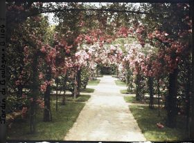 Image représentant Axe central du verger-roseraie vu vers la dépendance, après le rond-point proche du jardin français