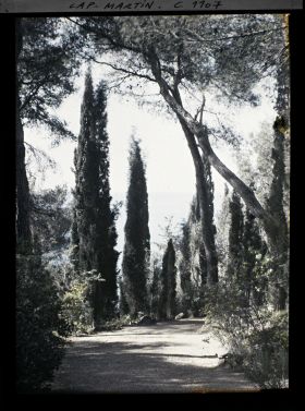 Image représentant le Jardin cyprès