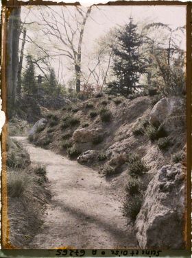 Image représentant Le jardin japonais de l'école normale supérieure de jeunes filles (ENSJF)