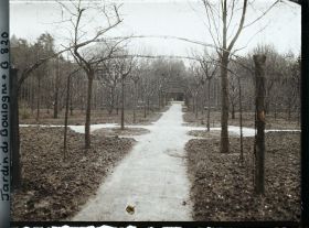 Image représentant Le verger-roseraie labouré et son axe central, vus non loin de la dépendance, en direction de l'est