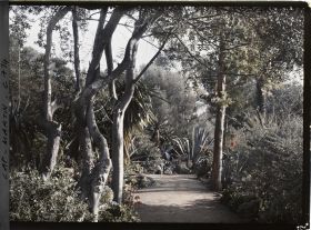 Image représentant Jardin divers