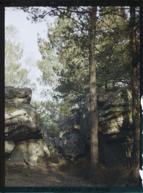 Image représentant France, Fontainebleau, Forêt de Fontainebleau