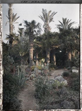 Image représentant Cap-Martin - Le Jardin