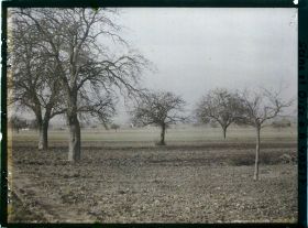 Image représentant France, Les Clayes, Champ et Pommiers