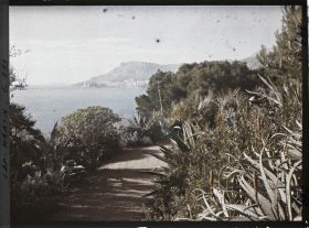 Image représentant le jardin . abords de Miramar