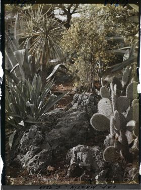 Image représentant le Jardin