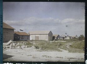 Image représentant France, Cernay en Dormois Marne 313 h, Abords de la route de Séchauld