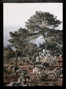 Image représentant Le jardin