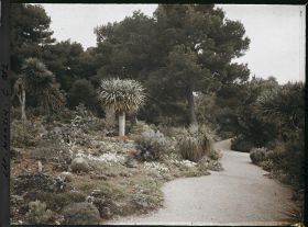 Image représentant Le Jardin